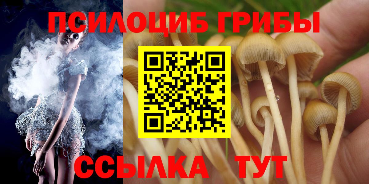 Псилоцибиновые грибы Psilocybe  Вход с VPN  Бор 